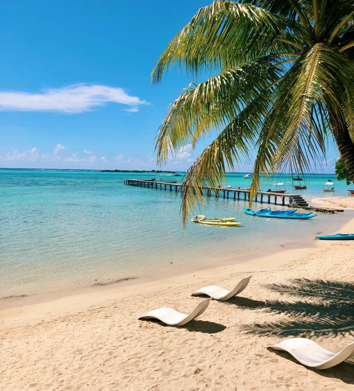 January is the Golden Window for Corporate Event Planning