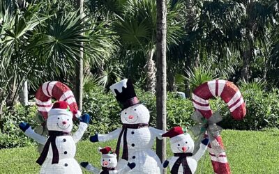 Escape the Ordinary: 3 Unique Holiday Getaways