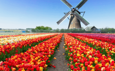 The World in Bloom: Planning Your Spring Garden Pilgrimage